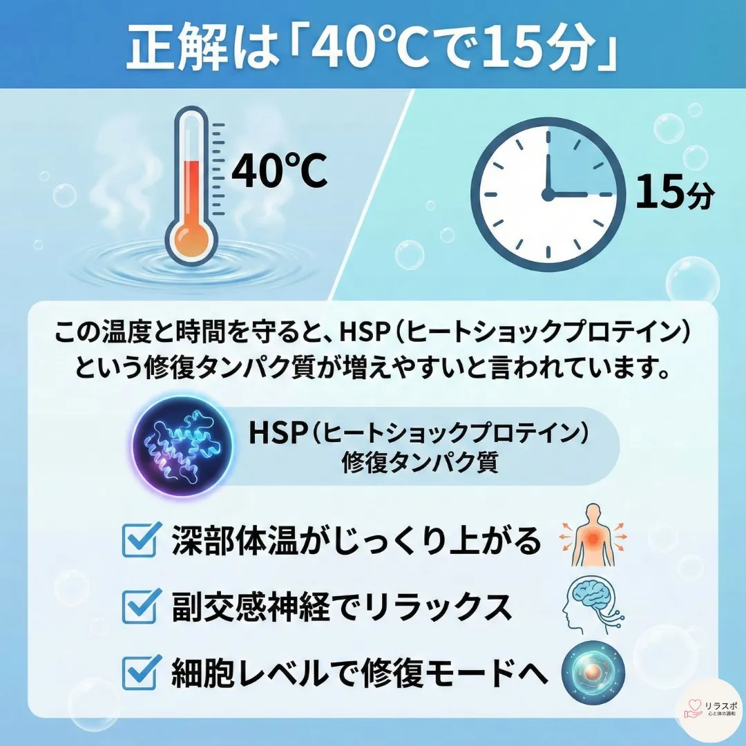 日曜日、お疲れ様でした🌙