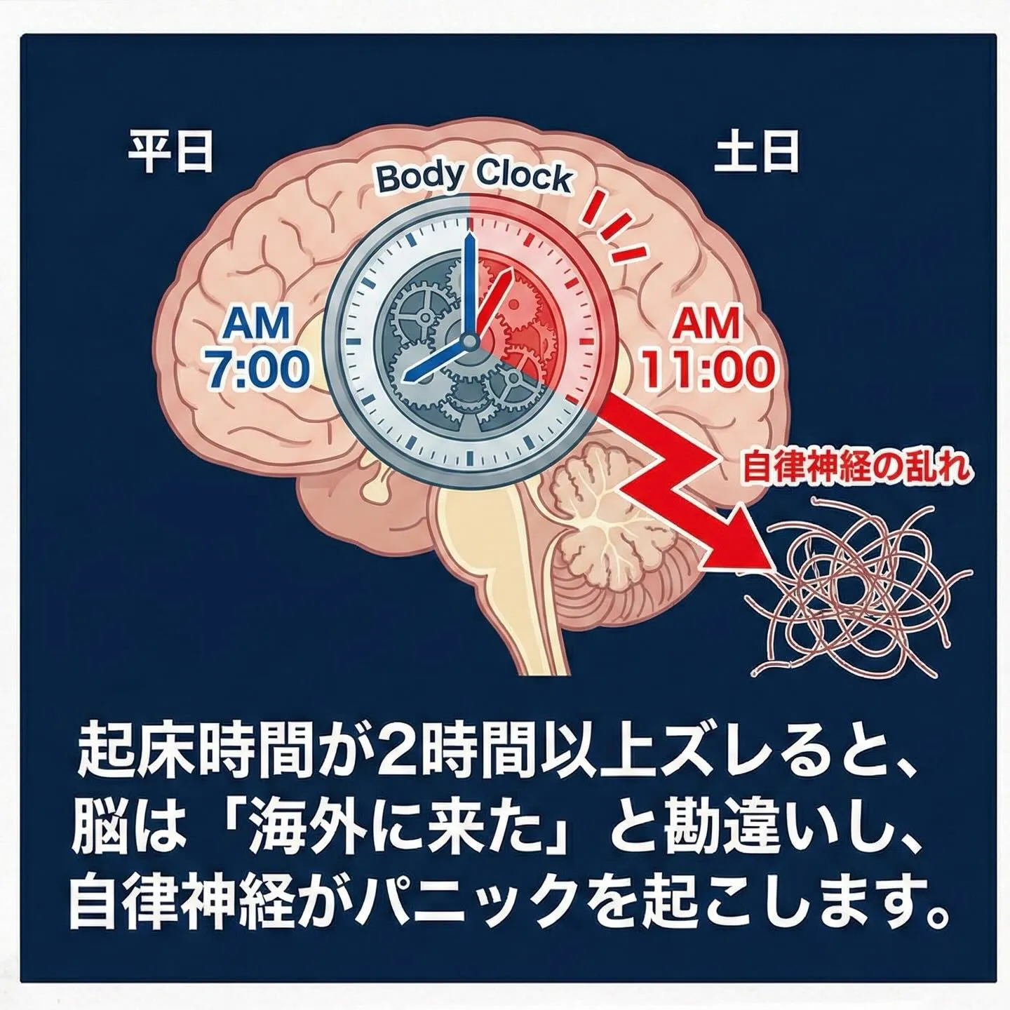 「明日は土曜日だから、昼まで寝よう...」